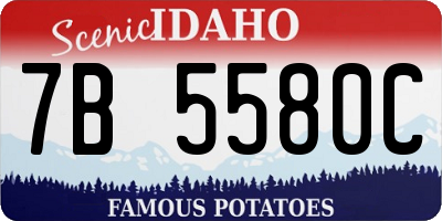 ID license plate 7B5580C