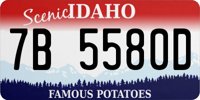 ID license plate 7B5580D