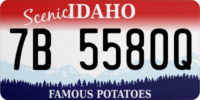 ID license plate 7B5580Q
