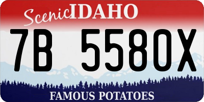 ID license plate 7B5580X