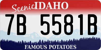 ID license plate 7B5581B