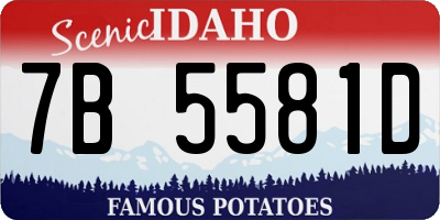 ID license plate 7B5581D