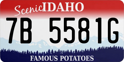 ID license plate 7B5581G