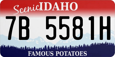 ID license plate 7B5581H