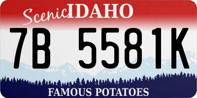 ID license plate 7B5581K