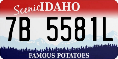 ID license plate 7B5581L