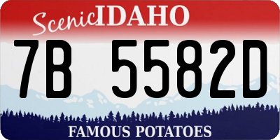 ID license plate 7B5582D