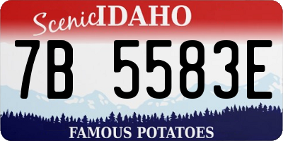 ID license plate 7B5583E