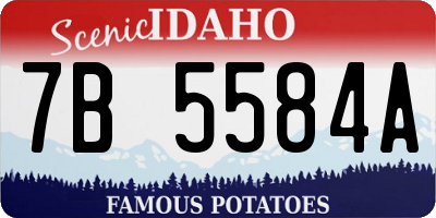 ID license plate 7B5584A