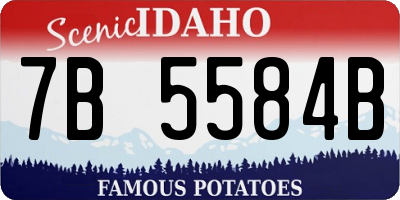 ID license plate 7B5584B