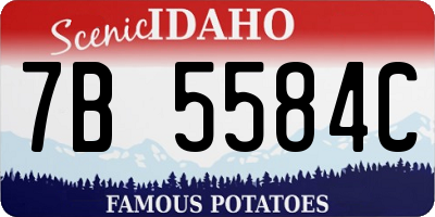 ID license plate 7B5584C