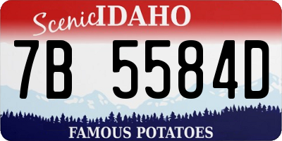 ID license plate 7B5584D