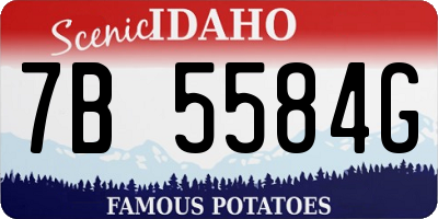ID license plate 7B5584G