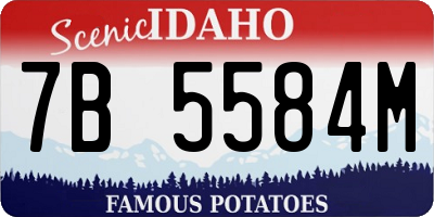 ID license plate 7B5584M
