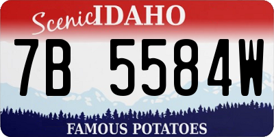 ID license plate 7B5584W