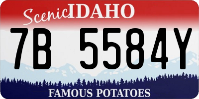 ID license plate 7B5584Y