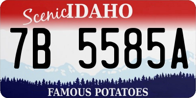 ID license plate 7B5585A