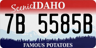 ID license plate 7B5585B