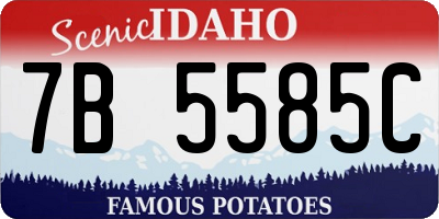 ID license plate 7B5585C