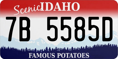 ID license plate 7B5585D