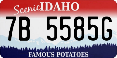 ID license plate 7B5585G