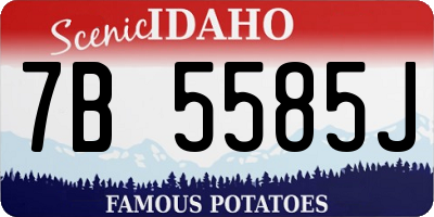 ID license plate 7B5585J