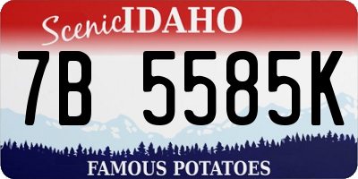 ID license plate 7B5585K
