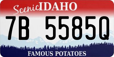 ID license plate 7B5585Q