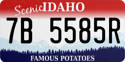ID license plate 7B5585R