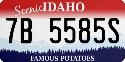 ID license plate 7B5585S