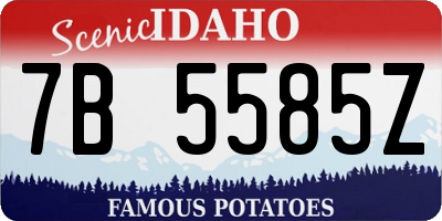 ID license plate 7B5585Z