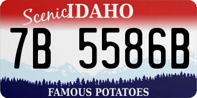 ID license plate 7B5586B