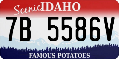ID license plate 7B5586V