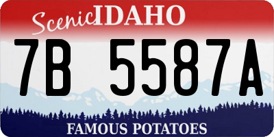 ID license plate 7B5587A