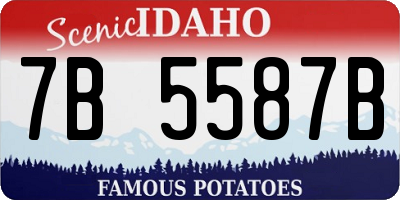 ID license plate 7B5587B