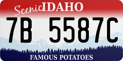 ID license plate 7B5587C