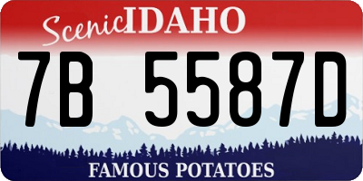 ID license plate 7B5587D