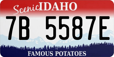 ID license plate 7B5587E