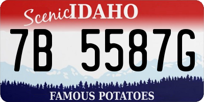 ID license plate 7B5587G