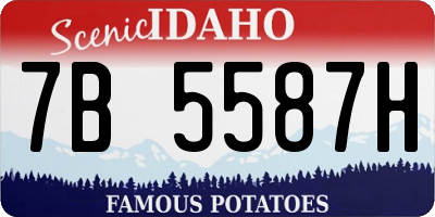 ID license plate 7B5587H
