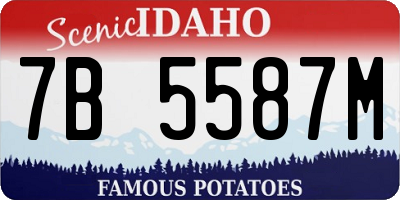 ID license plate 7B5587M