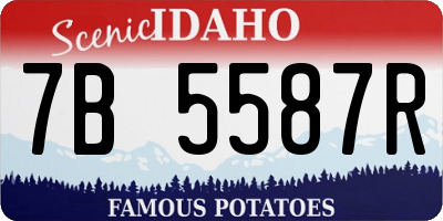 ID license plate 7B5587R