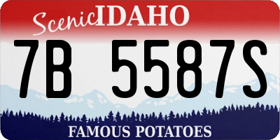 ID license plate 7B5587S