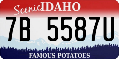 ID license plate 7B5587U