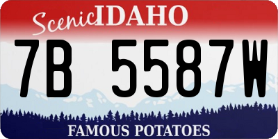 ID license plate 7B5587W