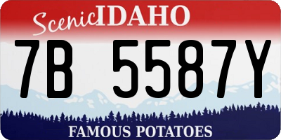 ID license plate 7B5587Y