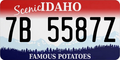 ID license plate 7B5587Z