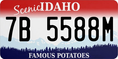 ID license plate 7B5588M