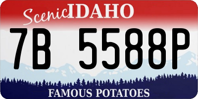 ID license plate 7B5588P
