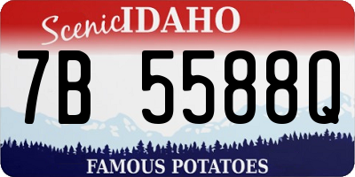 ID license plate 7B5588Q